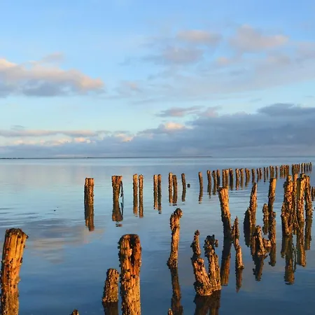 Feriehus Regnspoven Romo Ix Romo