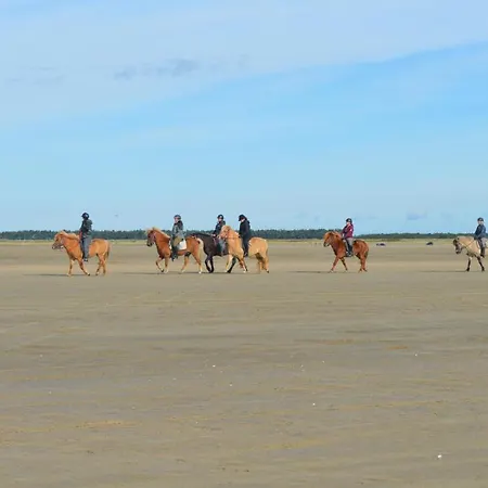 Feriehus Regnspoven Romo Ix *
